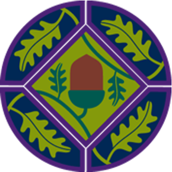 Young Leader badge